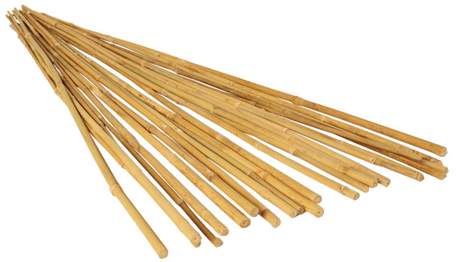 GROW!T 3' Bamboo Stakes, pack of 25