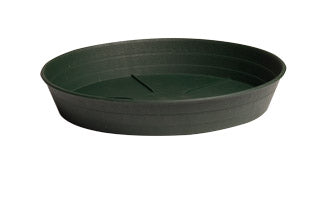 Green Premium Saucer 10", pack of 25