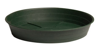 Green Premium Saucer 12", pack of 10