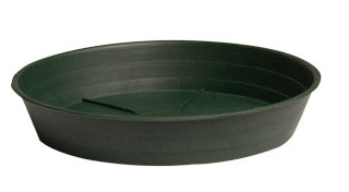 Green Premium Saucer 16", pack of 10