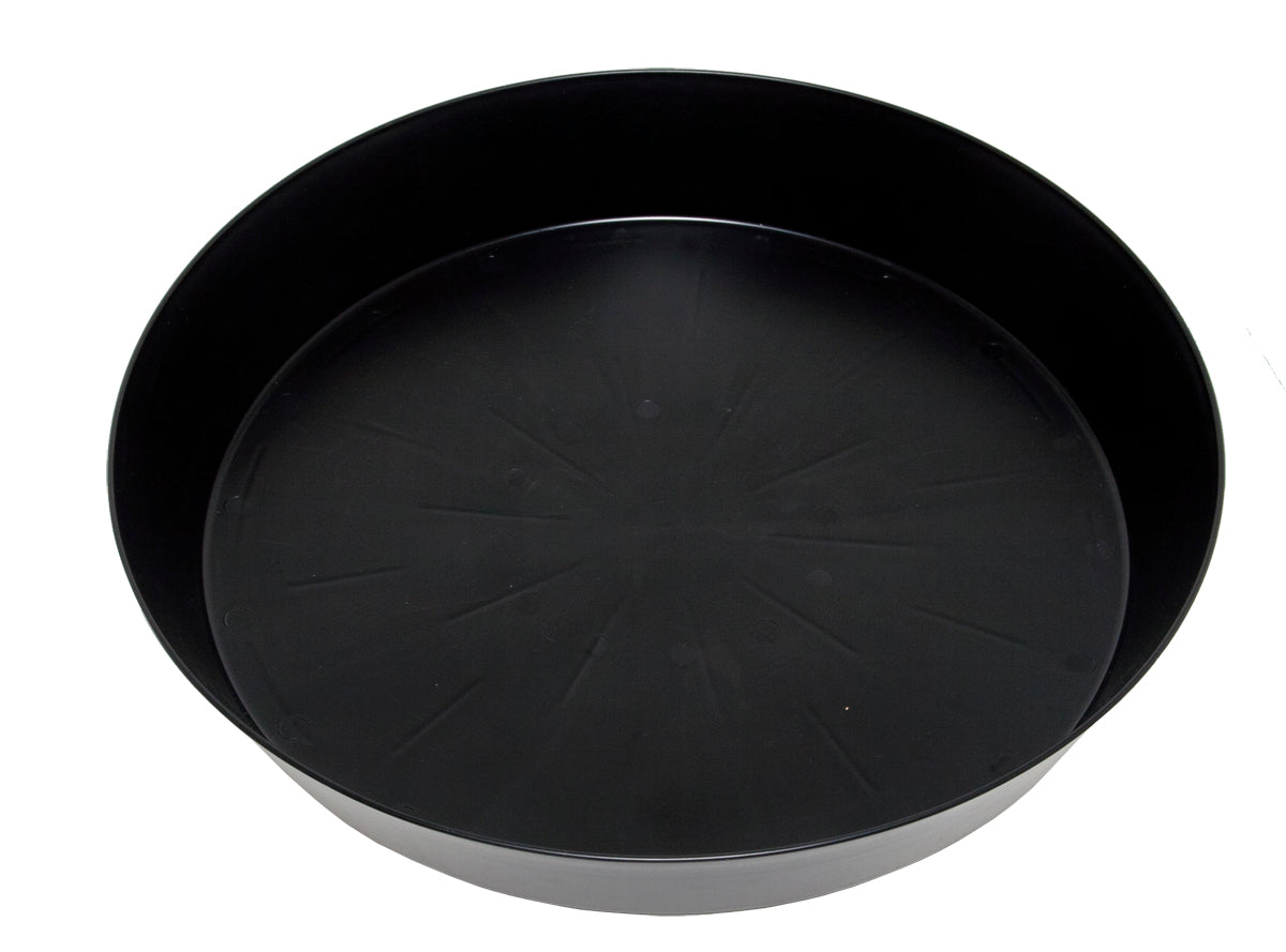 Big Saucer Black 20"  case of 5