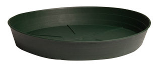 Green Premium Saucer 6", pack of 25