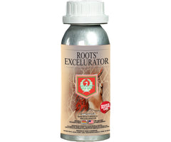 House & Garden 'Silver' Roots Excelurator