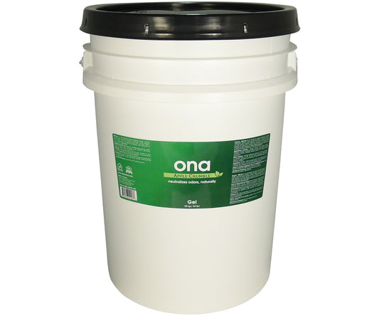 Ona Gel Apple Crumble 20L