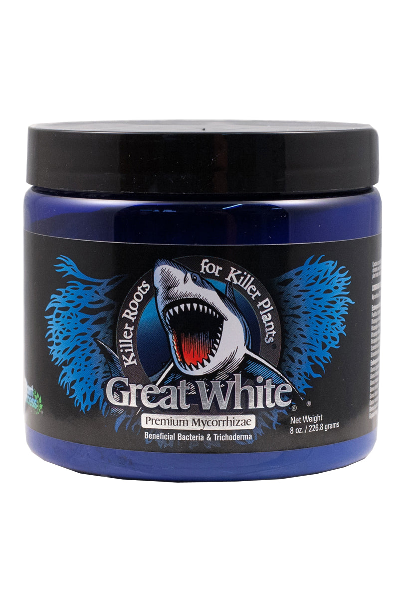 Great White 8 oz.