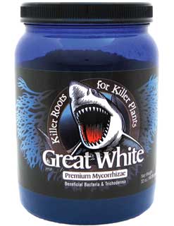 Great White 32 oz.