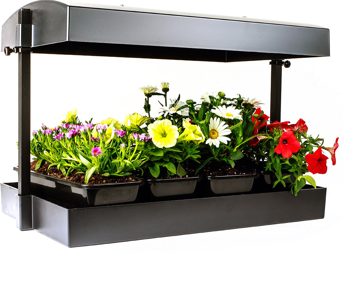 Grow Light Garden (1/ea)